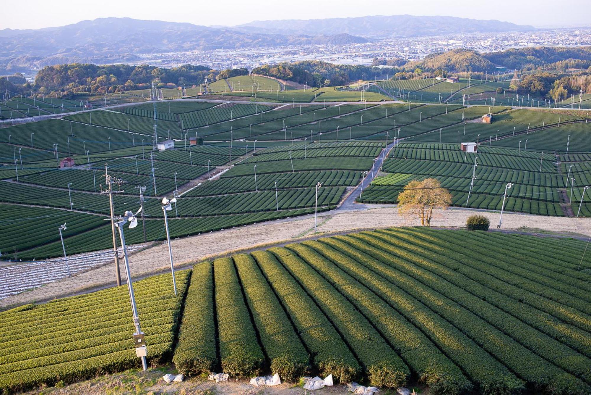 Nipponia Hotel Yamefukushima Merchant Town Tagawa Buitenkant foto